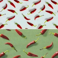 Red Peppers Cotton Canvas Fabric