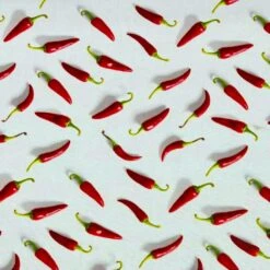 Red Peppers Cotton Canvas Fabric -Ernst Fabric Store 58DB5485 6C14 4C52 AFA6 5C3EE851D28A