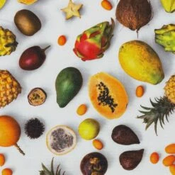 Tropical Fruits Cotton Canvas Fabric 8 Tropical Fruits Cotton Canvas Fabric -Ernst Fabric Store E94A18CD 72B6 4954 A2D8 3170A0E7E148