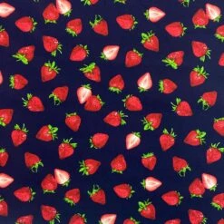 Strawberry Rose & Hubble Cotton Poplin Fabric -Ernst Fabric Store image d5a04ba2 06ea 4e39 894c 21dceefdaa1f